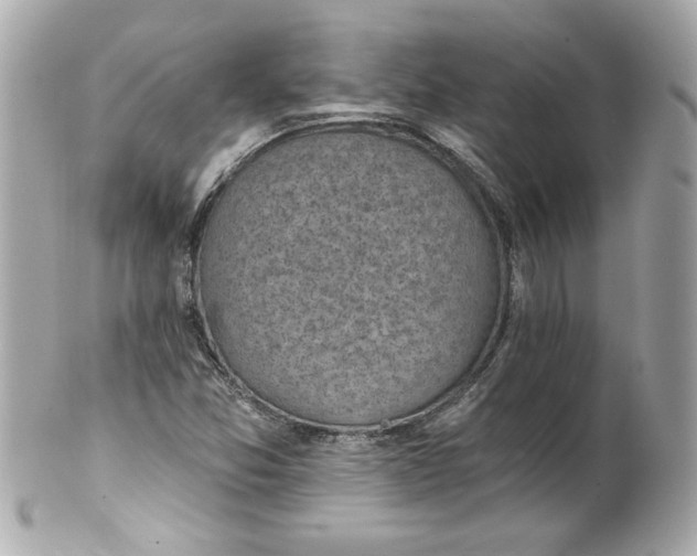 X0000101651357200807311404
