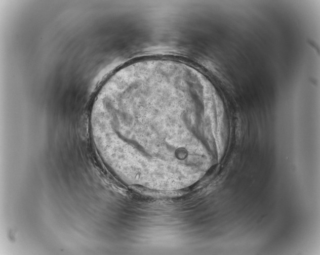 X0000101651358200807311404