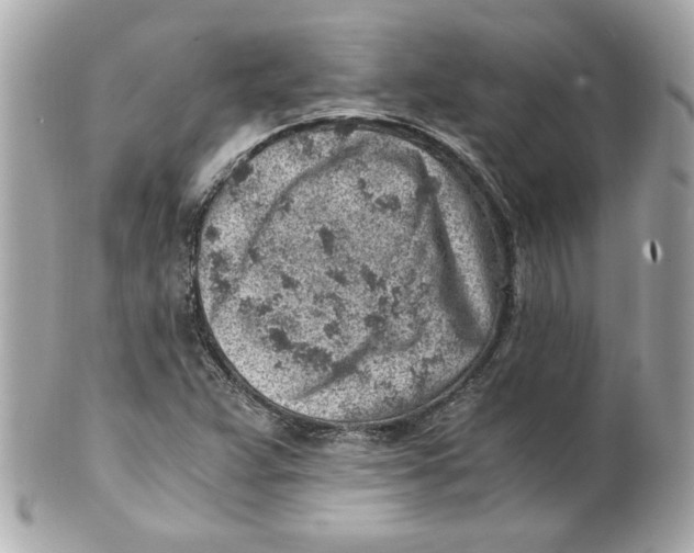 X0000101651359200807311404