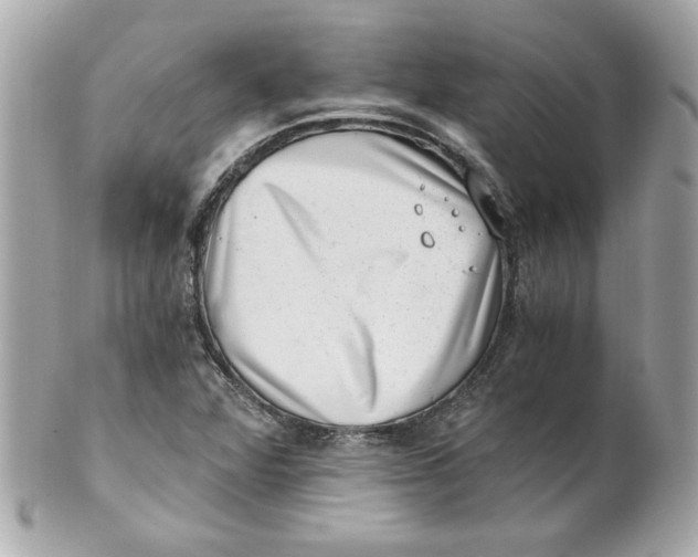 X0000101651360200807311404