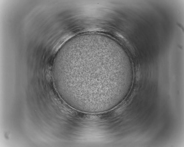 X0000101651361200807311404