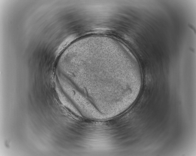 X0000101651362200807311404
