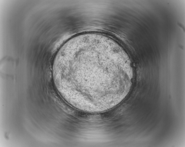 X0000101651363200807311404