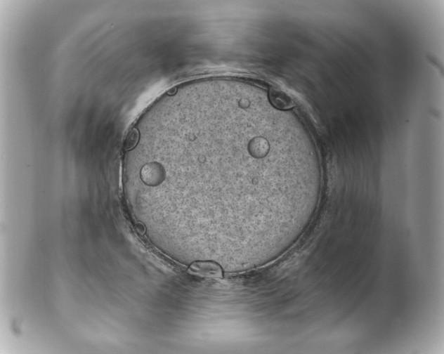 X0000101651365200807311404