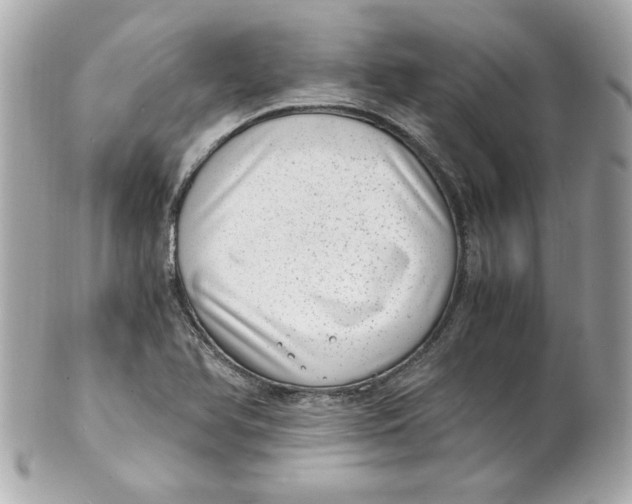 X0000101651366200807311404