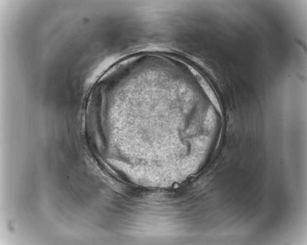 X0000101651367200807311404