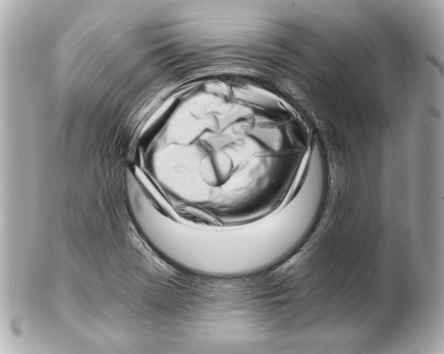 X0000101651369200807311404