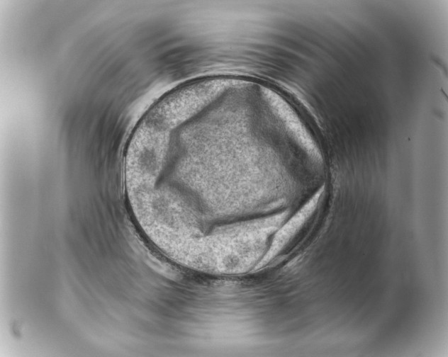 X0000101651371200807311404