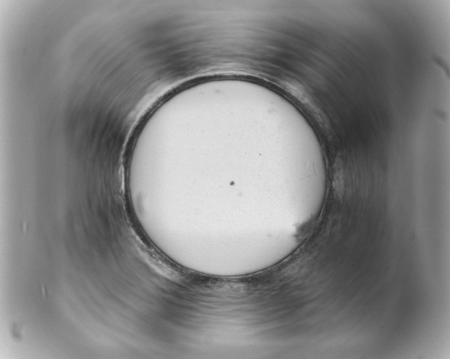 X0000101651372200807311404