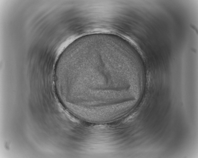 X0000101651373200807311404