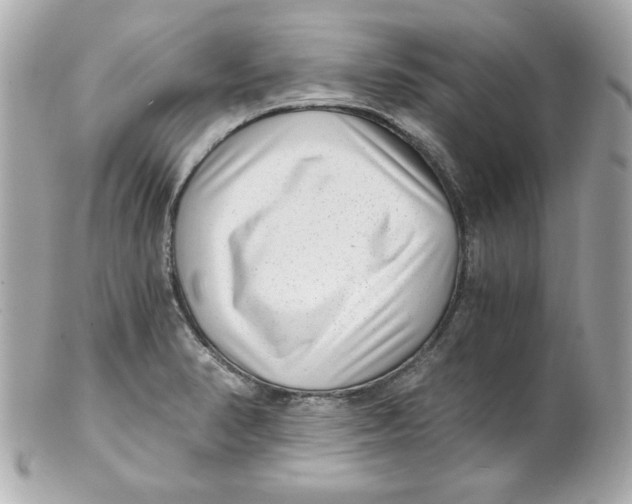 X0000101651374200807311404