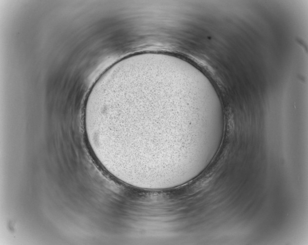 X0000101651375200807311404
