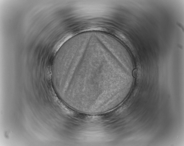X0000101651377200807311404