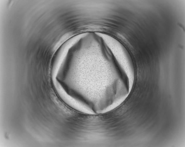 X0000101651378200807311404