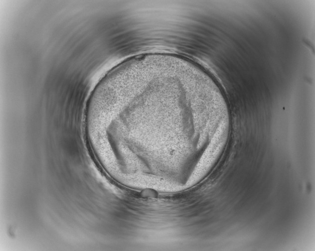 X0000101651379200807311404