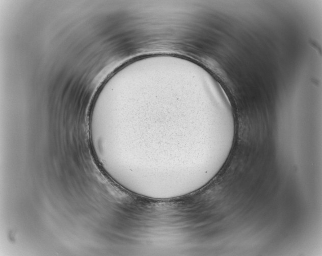 X0000101651380200807311404
