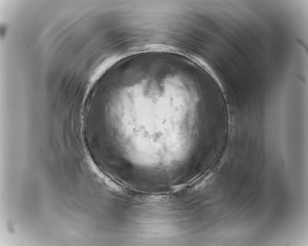 X0000101651381200807311404