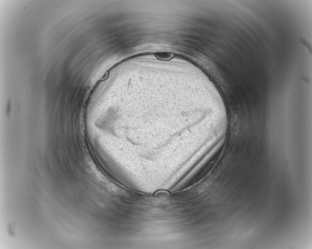X0000101651382200807311404