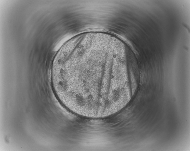 X0000101651383200807311404