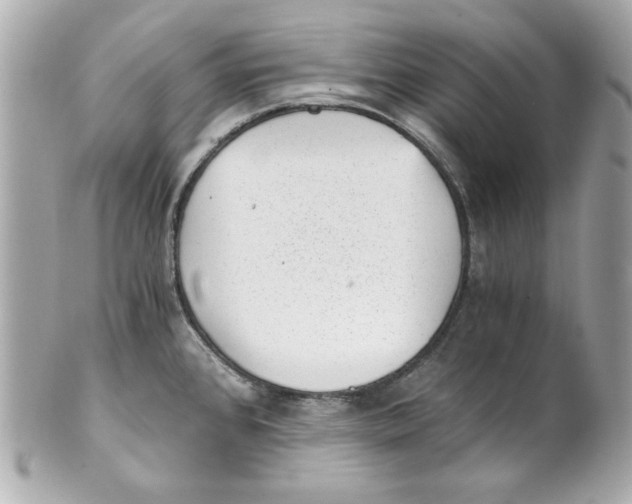 X0000101651384200807311404