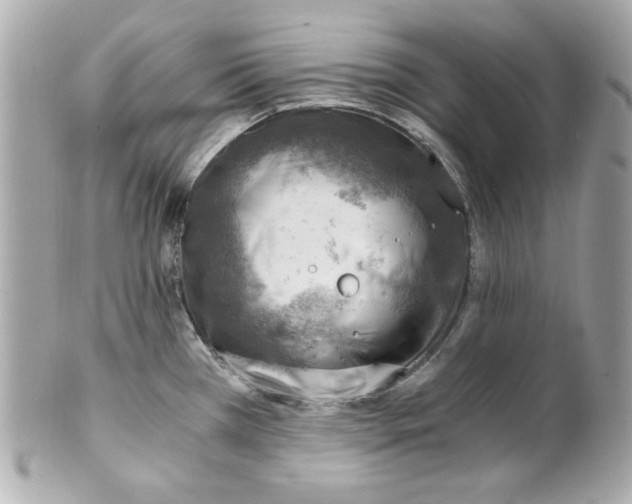 X0000101651385200807311404