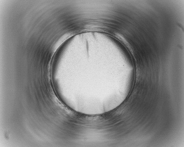 X0000101651386200807311404