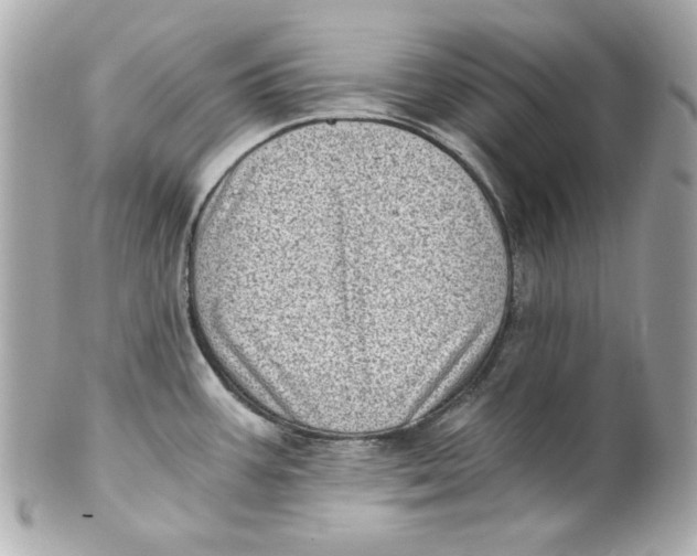 X0000101651387200807311404