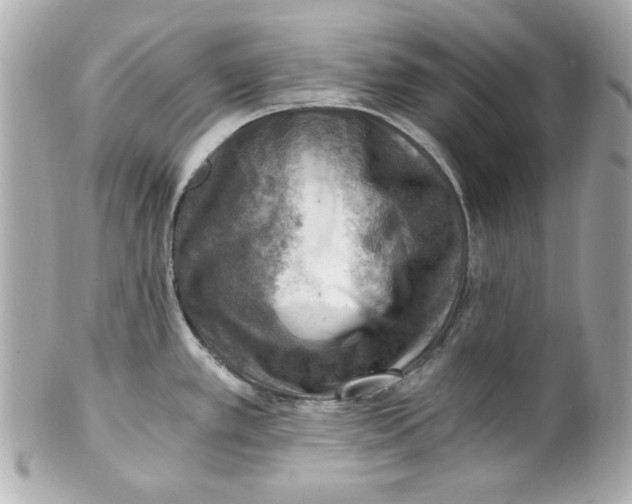 X0000101651389200807311404