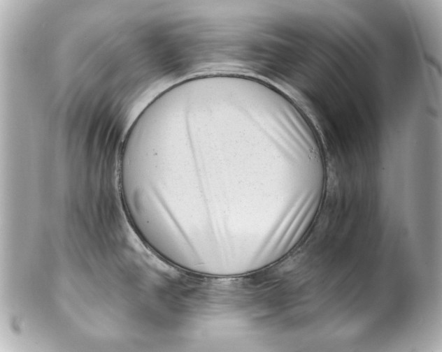 X0000101651390200807311404