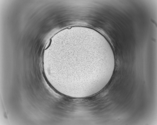 X0000101651391200807311404