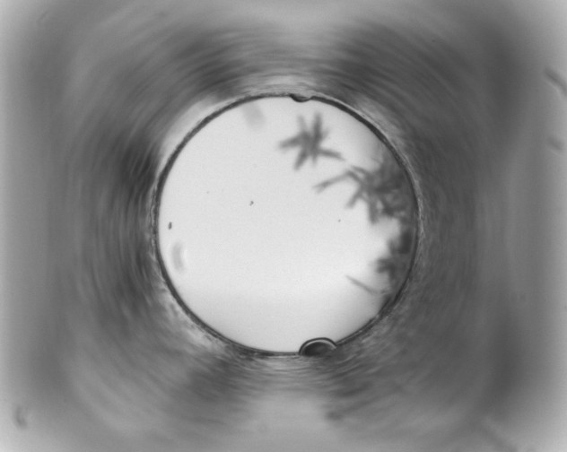 X0000101651392200807311404