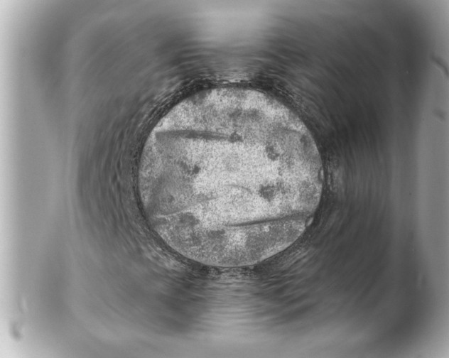 X0000101651393200807311403