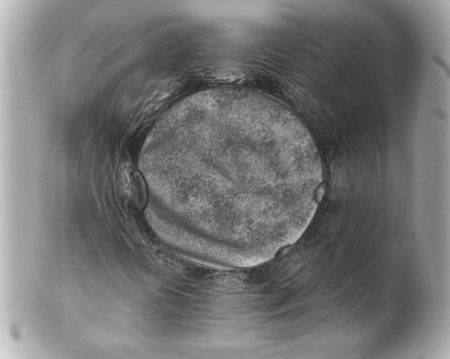 X0000101651394200807311403