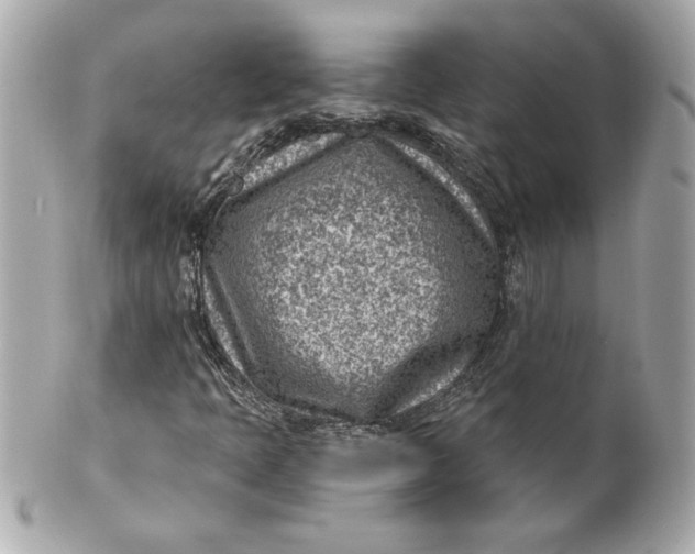 X0000101651397200807311403