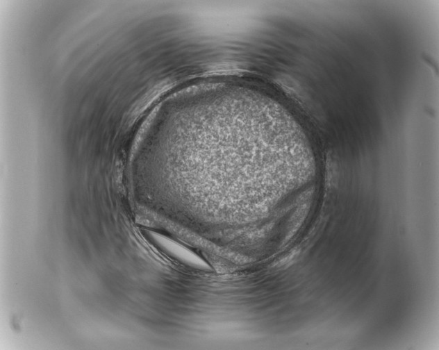 X0000101651401200807311403