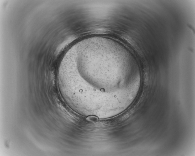 X0000101651402200807311403