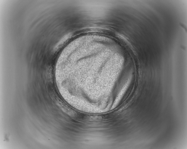 X0000101651403200807311403