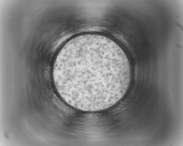 X0000101651404200807311403