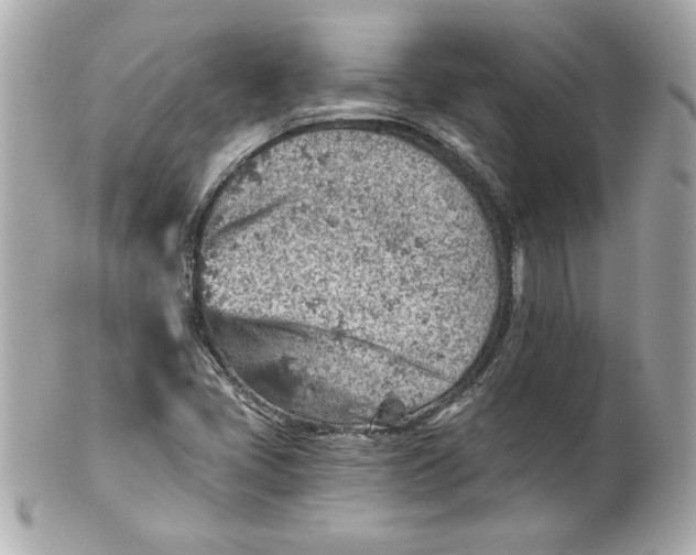 X0000101651405200807311403