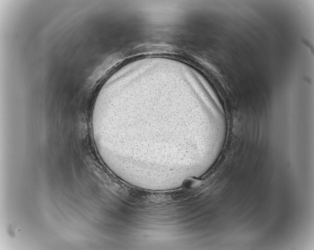 X0000101651407200807311403