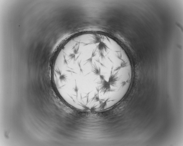 X0000101651408200807311403