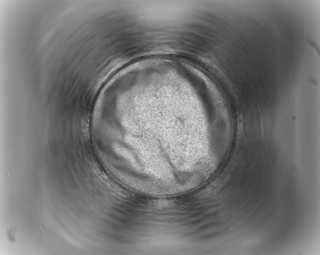 X0000101651409200807311403