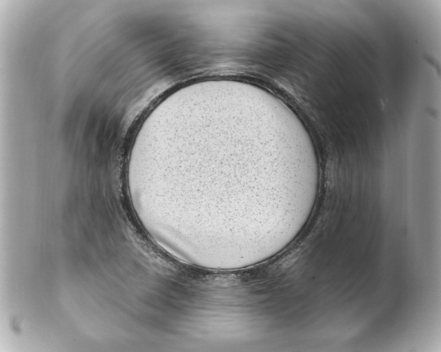 X0000101651410200807311403