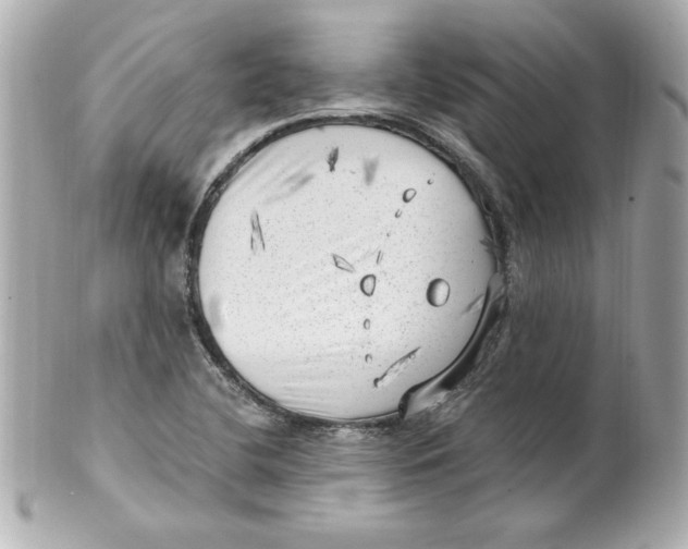 X0000101651412200807311403