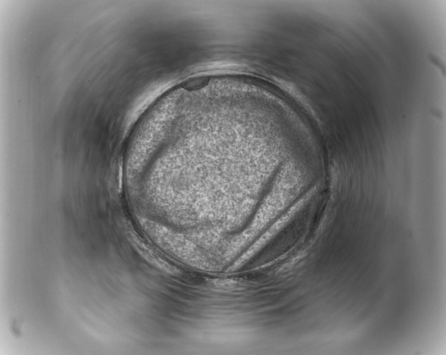 X0000101651413200807311403