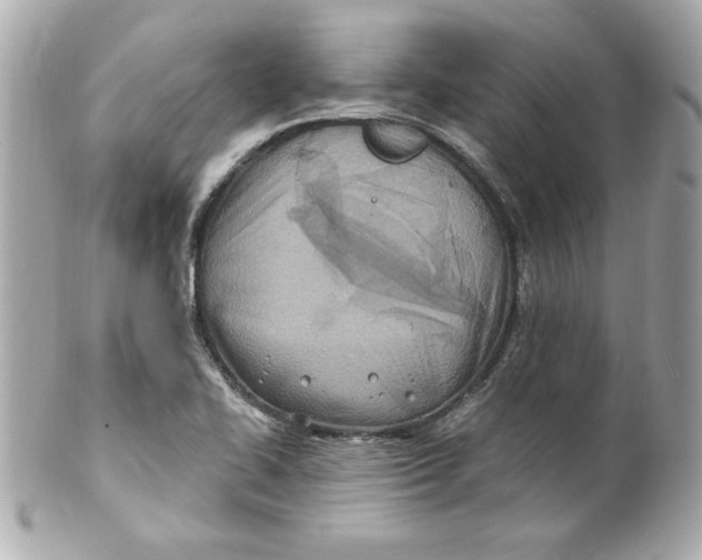 X0000101651414200807311403