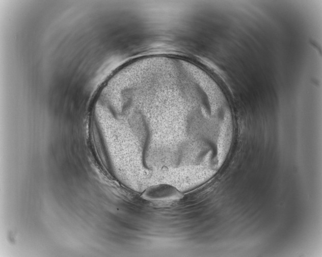 X0000101651415200807311403