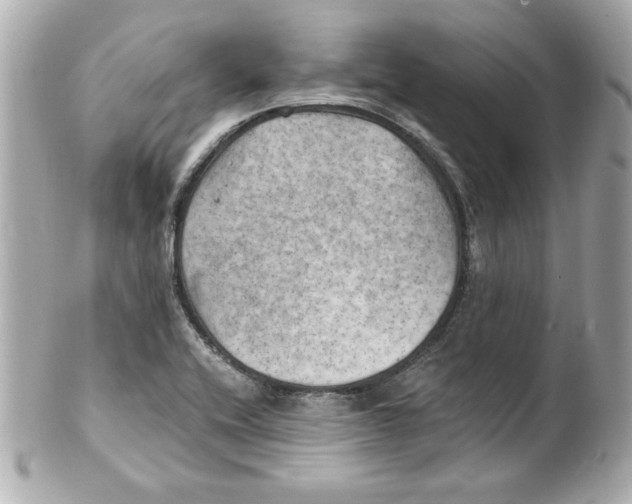 X0000101651416200807311403