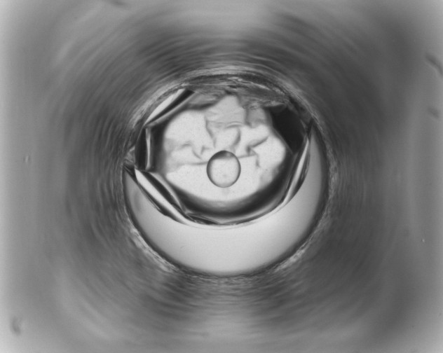 X0000101651417200807311403