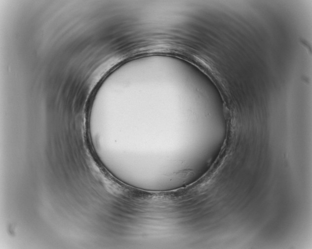 X0000101651418200807311403